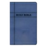 NIV Navy Imitation Leather Premium Gift Bible Red Letter Comfort Print - Image 6
