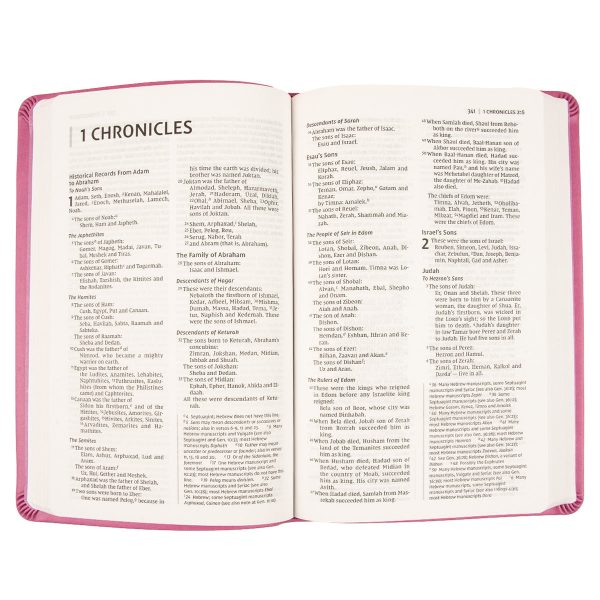 NIV Value Thinline Bible Pink (Comfort Print)(Imitation Leather) - Image 12