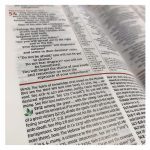 NIV Study Bible, Fully Revised Edition, Large Print, Red Letter (Comfort Print)(Hardcover) - Image 6