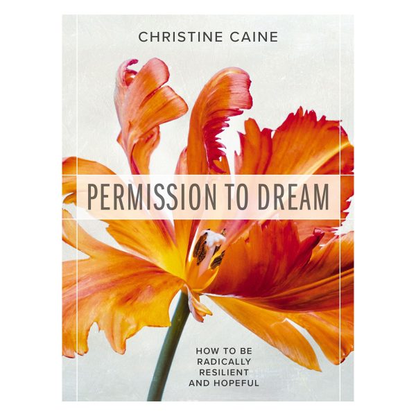 Permission to Dream: How to be Radically Resilient and Hopeful (Paperback) - Image 2