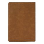 Afrikaans 1933/1953 Vertaling Karamel Kunsleer Verklarende Studiebybel - Image 2