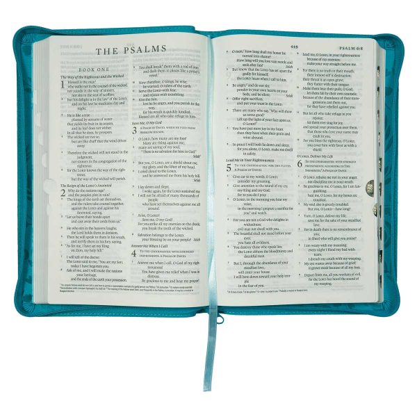 ESV Turquoise Faux Leather Standard Bible Thumb Indexed With Zip - Image 13