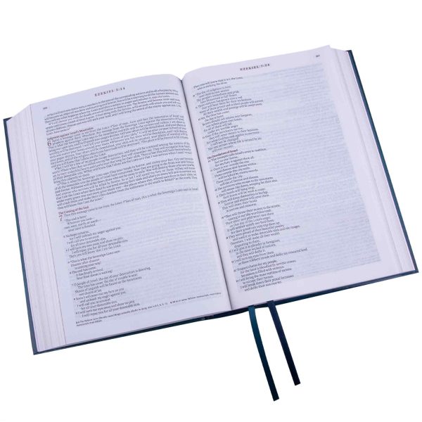 NLT The Spiritual Growth Bible Teal Hardcover - Image 12