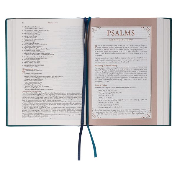 NLT The Spiritual Growth Bible Teal Hardcover - Image 14