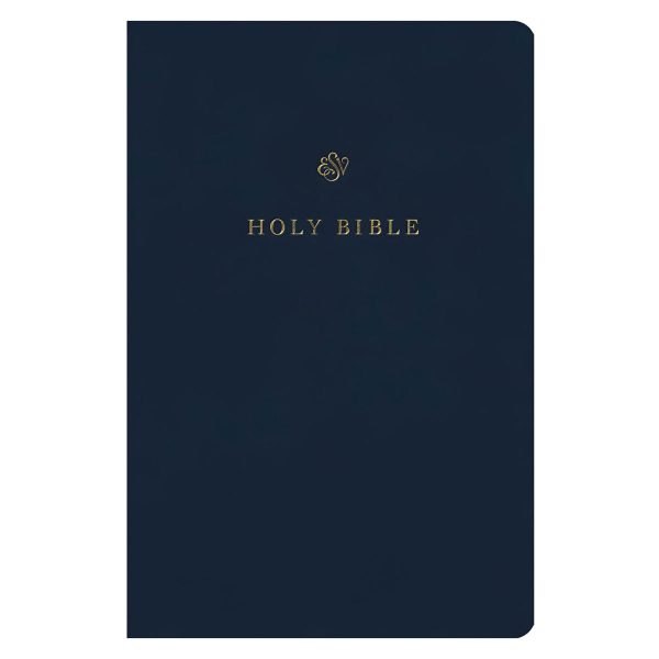 ESV Blue Imitation Leather Gift and Award Bible - Image 2