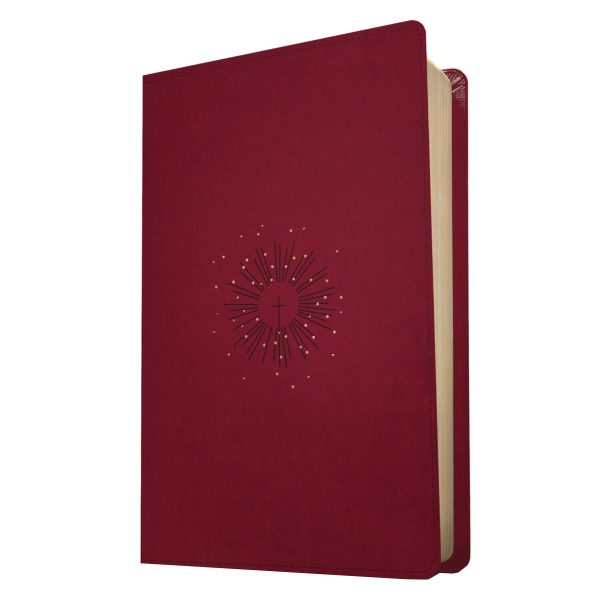 NLT Filament Thinline Reference Bible Red Letter Aurora Cranberry (Imitation Leather) - Image 8
