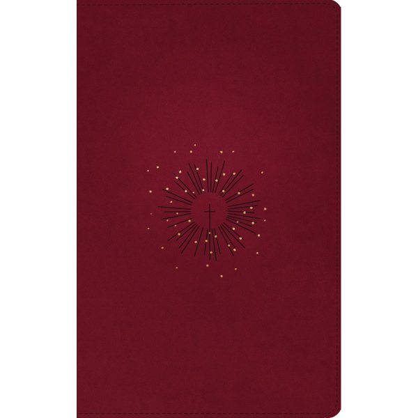 NLT Filament Thinline Reference Bible Red Letter Aurora Cranberry (Imitation Leather) - Image 6