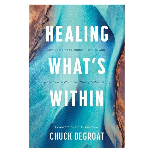 Healing What’s Within: Coming Home to Yourself & to God when You're Wounded Weary & Wandering PB - Image 2