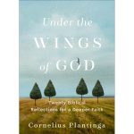 Under The Wings Of God: Twenty Biblical Reflections For A Deeper Faith (Paperback) - Image 2