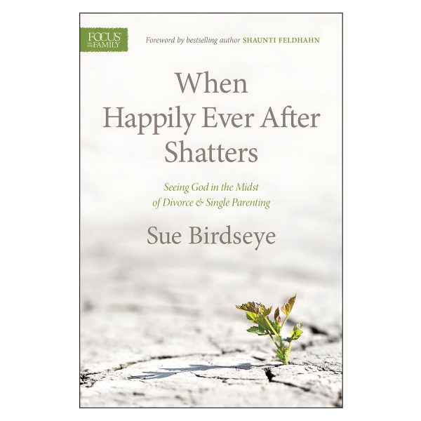When Happily Ever After Shatters: Seeing God in the Midst of Divorce & Single Parenting PB - Image 1
