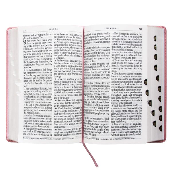 KJV Pink Faux Leather Bible Giant Print - Image 13