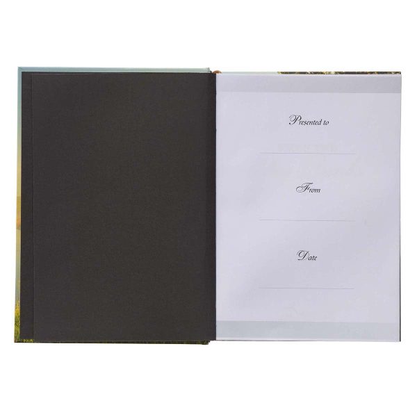 When The Day Breaks Pond (Padded Hardcover) - Image 7