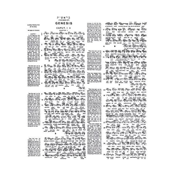 Interlinear Bible Hebrew-Greek-English (Hardcover) - Image 14