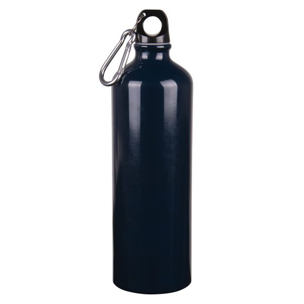 Let Your Dreams Take Flight Aluminium Water Bottle with Carabiner - Image 10
