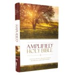 Amplified Holy Bible (Hardcover) - Image 2