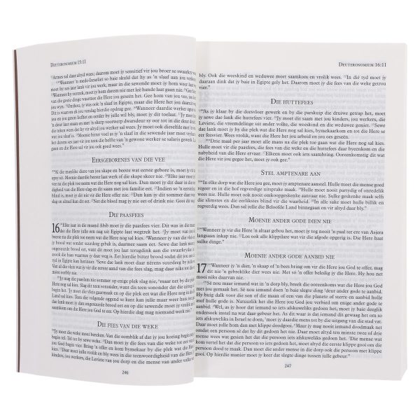 Die Boodskap Koringare Sagteband Bybel - Image 10
