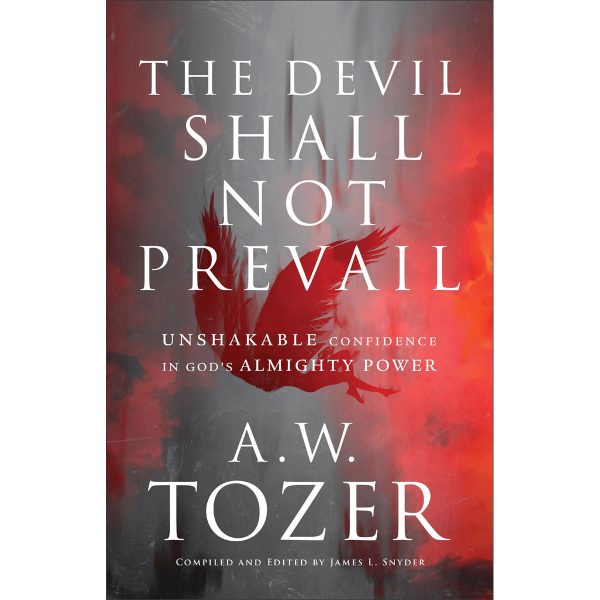 The Devil Shall Not Prevail: Unshakable Confidence In God's Almighty Power (Paperback) - Image 3