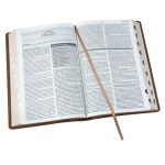 Afrikaans 1933/1953 Vertaling Karamel Kunsleer Verklarende Studiebybel - Image 9