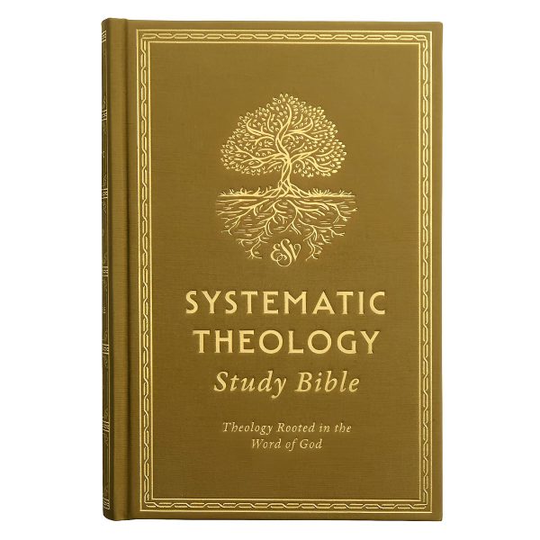 ESV Ochre Hardcover Systematic Theology Study Bible - Image 3