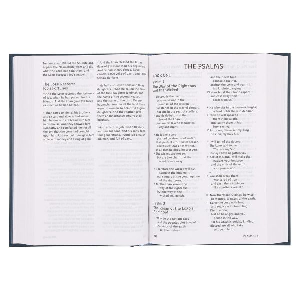 ESV Hardcover Dyslexia-Friendly Edition Holy Bible - Image 5