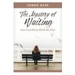 The Mystery of Waiting: How God Works While We Wait - Hope and Healing (Paperback) - Image 3