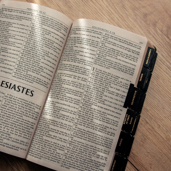 Old And New Testament Black With Matt Gold Bible Indexing Tabs - Image 16