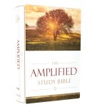 Amplified Study Bible Large Print (Hardcover) - Image 24