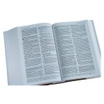 Amplified Study Bible Large Print (Hardcover) - Image 26