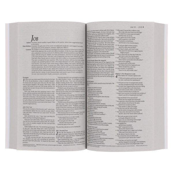 NLT Sunset Hills Paperback Outreach Bible - Image 4