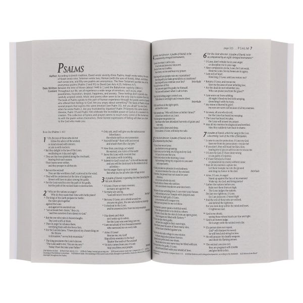 NLT Sunset Hills Paperback Outreach Bible - Image 5