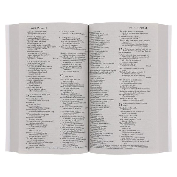 NLT Sunset Hills Paperback Outreach Bible - Image 6