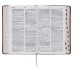 Afrikaans 1933/1953 Vertaling Bruin Kunsleer Bybel - Image 7