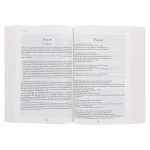 Die Boodskap Oseaan Sagteband Bybel - Image 19