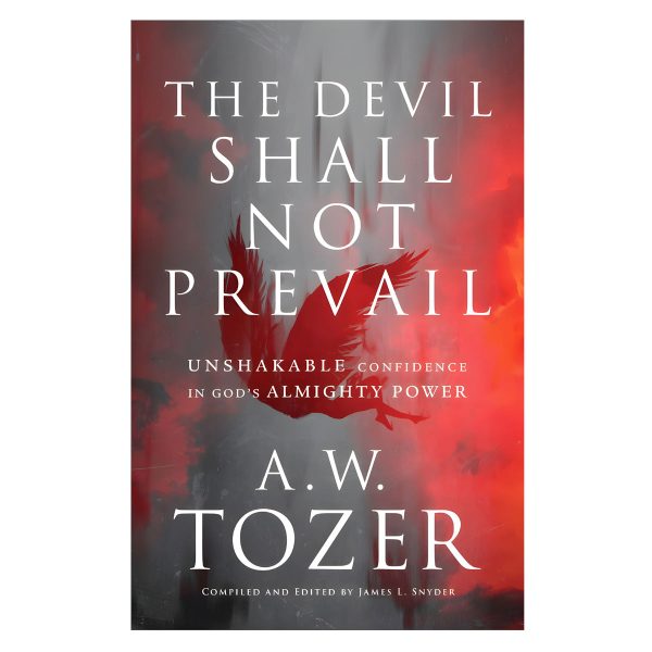The Devil Shall Not Prevail: Unshakable Confidence In God's Almighty Power (Paperback) - Image 4