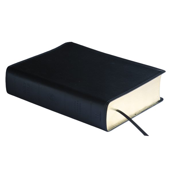 ESV Super Giant Print Bible Black (Imitation Leather) - Image 25