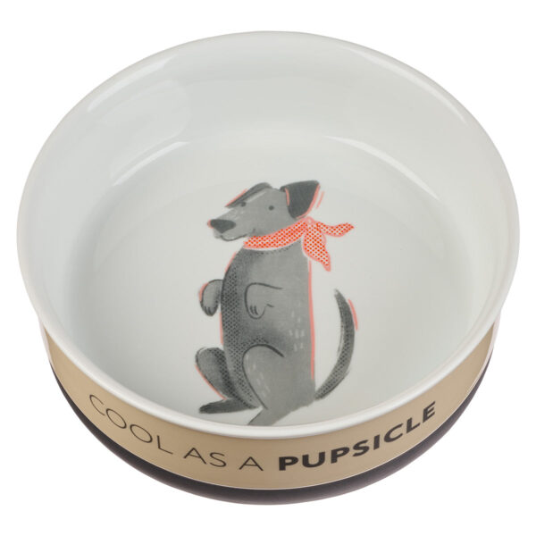 Cool As A Pupsicle Large Ceramic Pet Bowl - Image 13