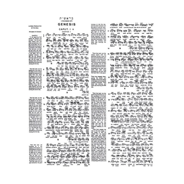 Interlinear Bible Hebrew-Greek-English (Hardcover) - Image 26