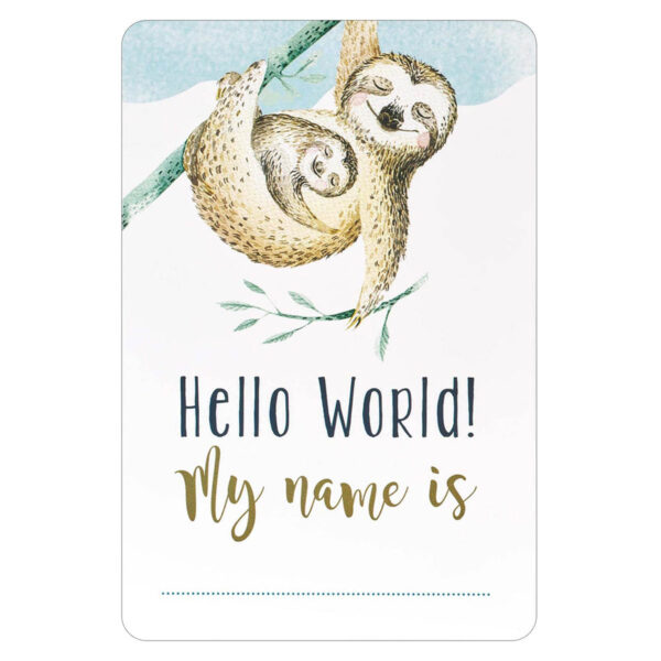 My Baby Boy's Milestones (Boxed Cards) - Image 20