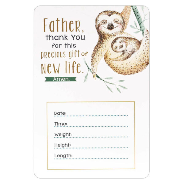 My Baby Boy's Milestones (Boxed Cards) - Image 21