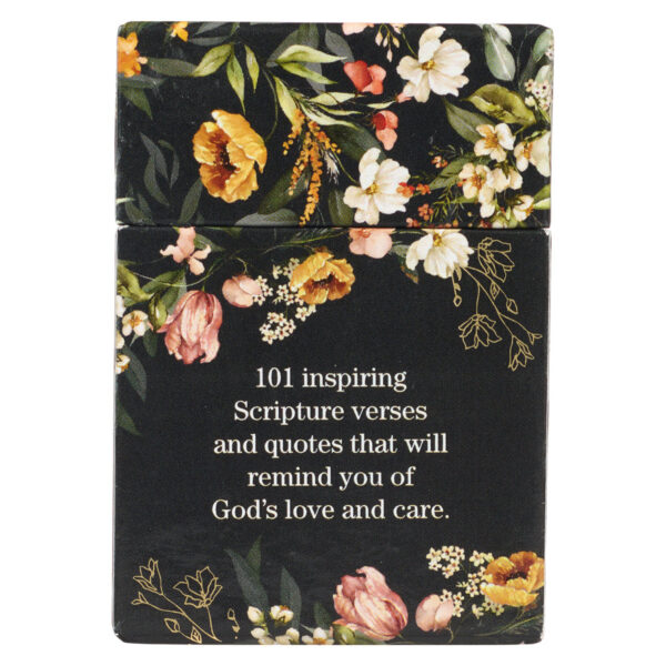 101 Blessings To Strengthen Your Soul (Boxed Cards) - Image 6