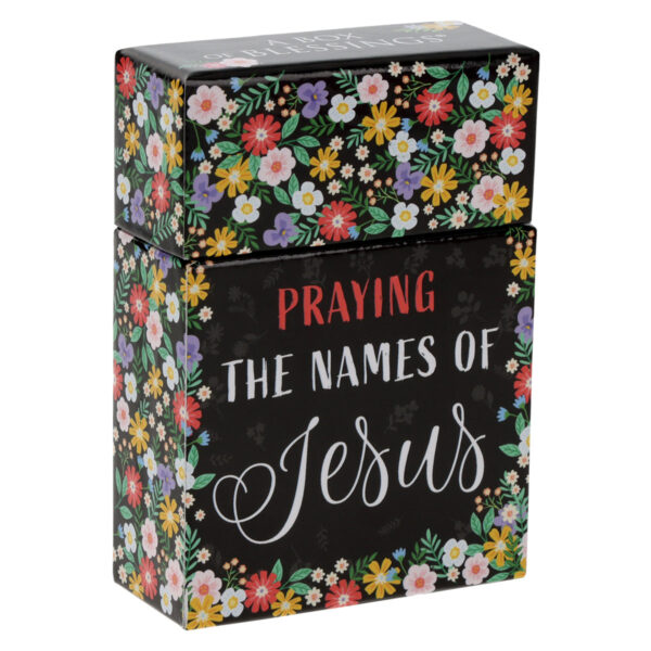 Praying the Names of Jesus Boxed Cards - Image 21