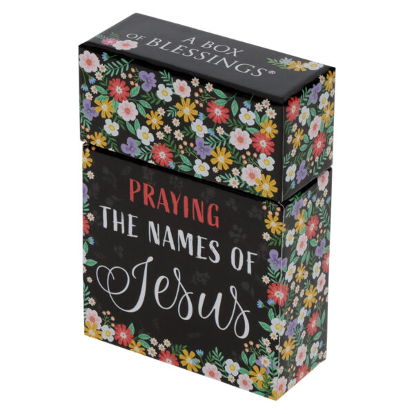 Praying the Names of Jesus Boxed Cards - Image 23