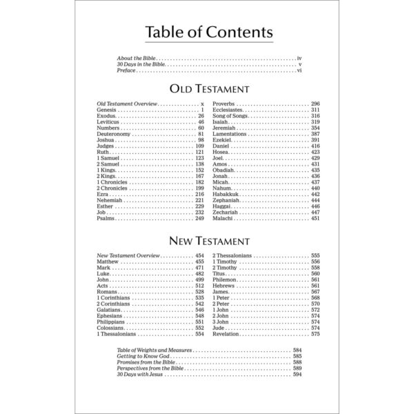 NIV Economy Bible (Paperback) - Image 27