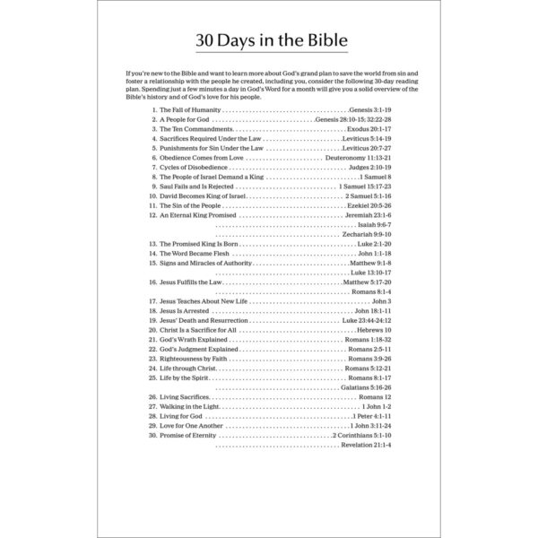 NIV Economy Bible (Paperback) - Image 28