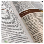NIV Study Bible, Fully Revised Edition, Large Print, Red Letter (Comfort Print)(Hardcover) - Image 14