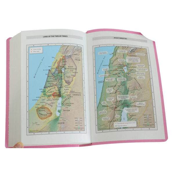 NIV Pink Paperback Gift & Award Bible Red Letter Edition Comfort Print - Image 7