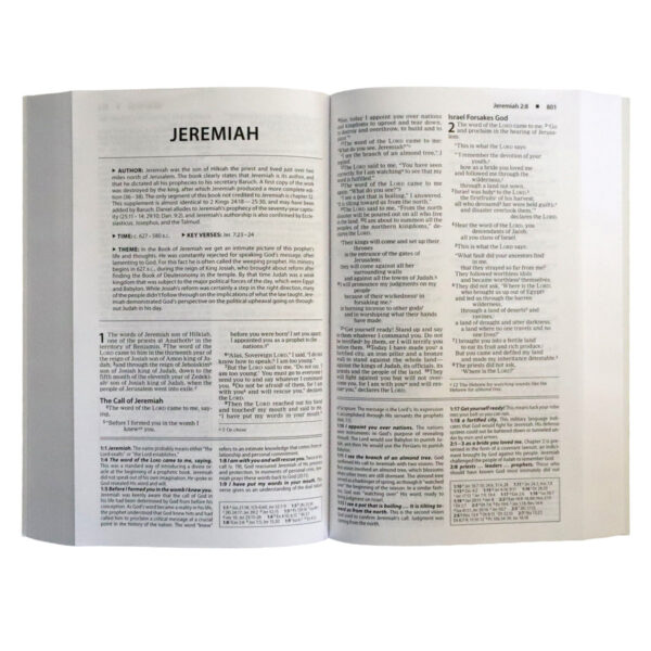 NIV Basic Study Bible, Economy, Blue, Red Letter (Paperback) - Image 15
