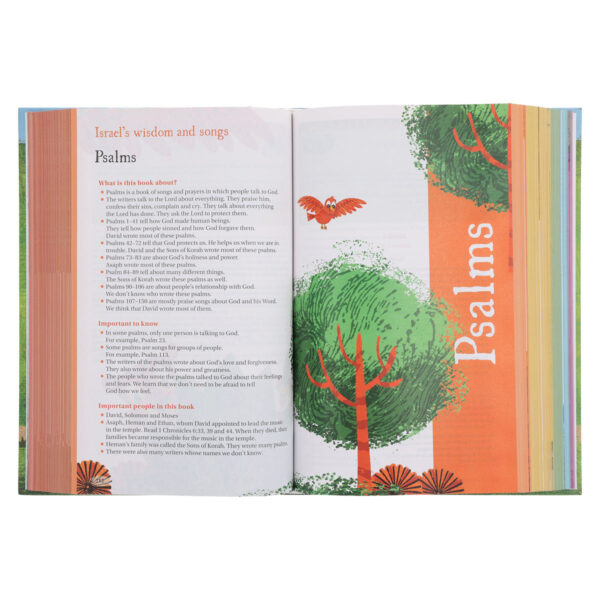 NIRV Hardcover Seek and Explore Holy Bible - Image 12