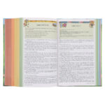 NIRV Hardcover Seek and Explore Holy Bible - Image 14
