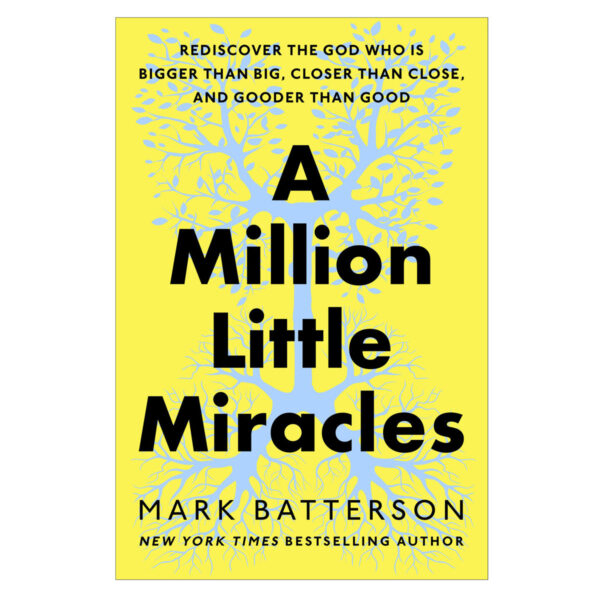 A Million Little Miracles: Rediscover the God Who Is Bigger than Big HC - Image 5